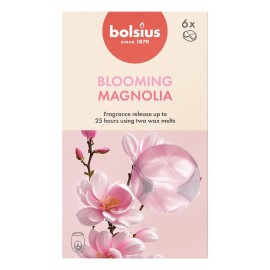VOSKY VONNÉ MAGNOLIE, SADA 6KS