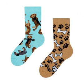 Veselé ponožky DEDOLES jezevčíci 35-38