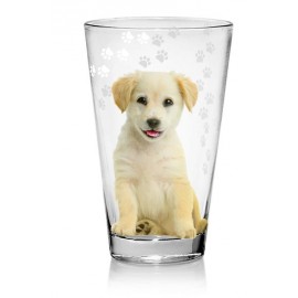 Sklenice CERVE Nadia 310ml pes